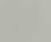 continental_white